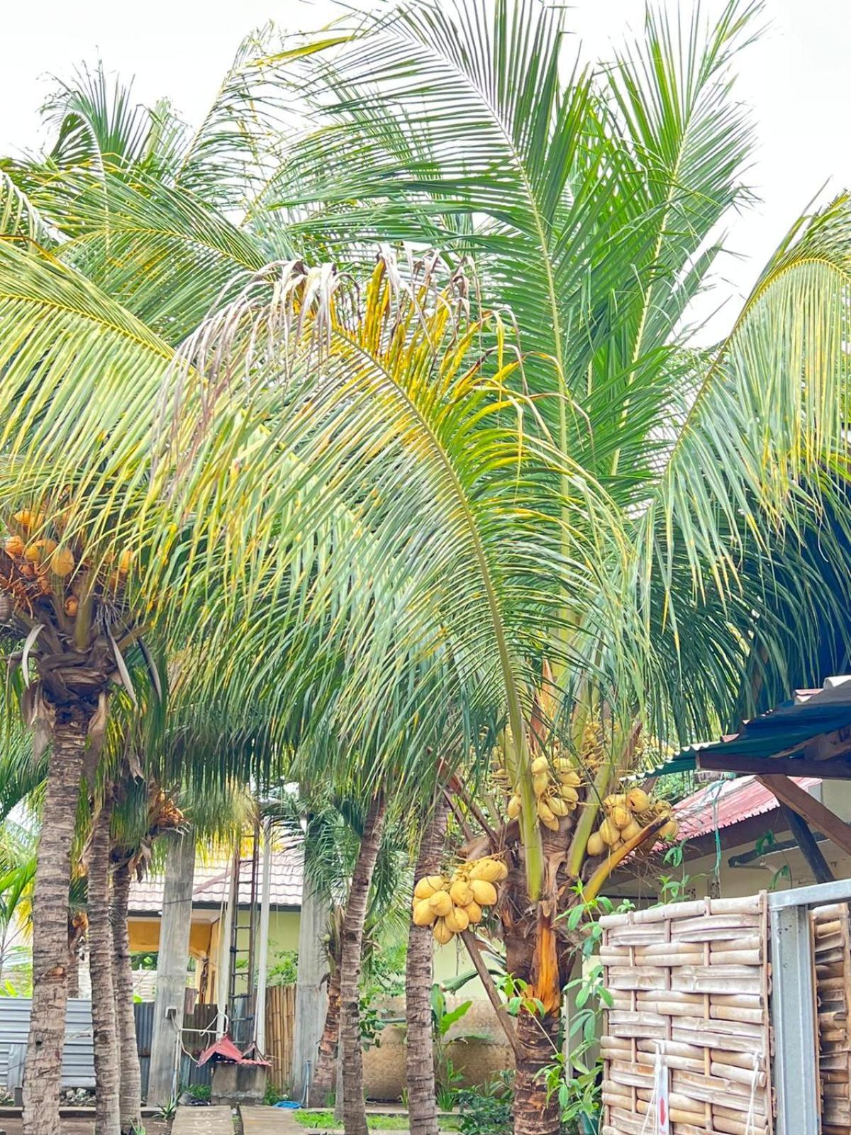 Bias Bungalows Gili Air Exteriör bild