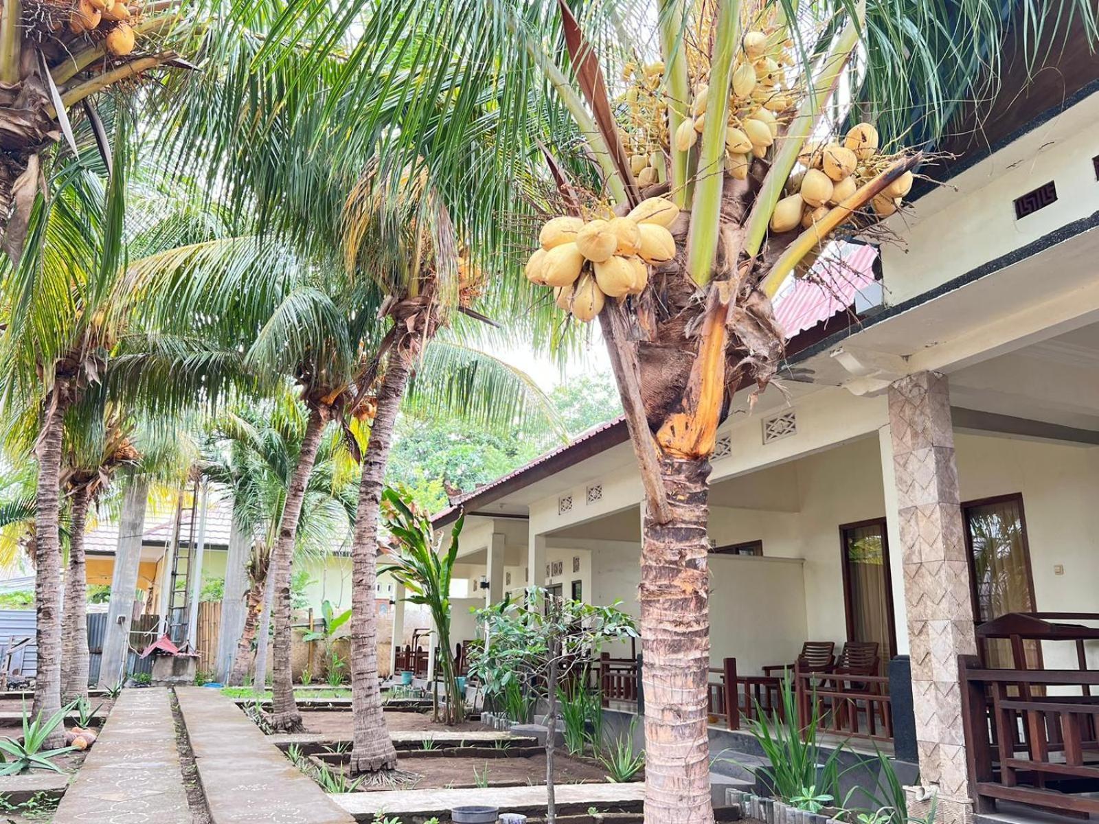 Bias Bungalows Gili Air Exteriör bild